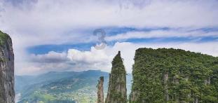 缤纷水果茶